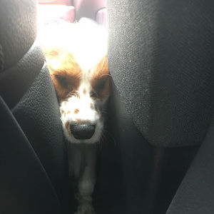 Meet your Posher, Brandon